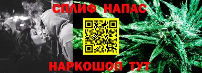 мяу мяу мука Нальчик