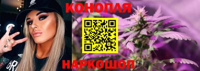 мяу мяу мука Нальчик
