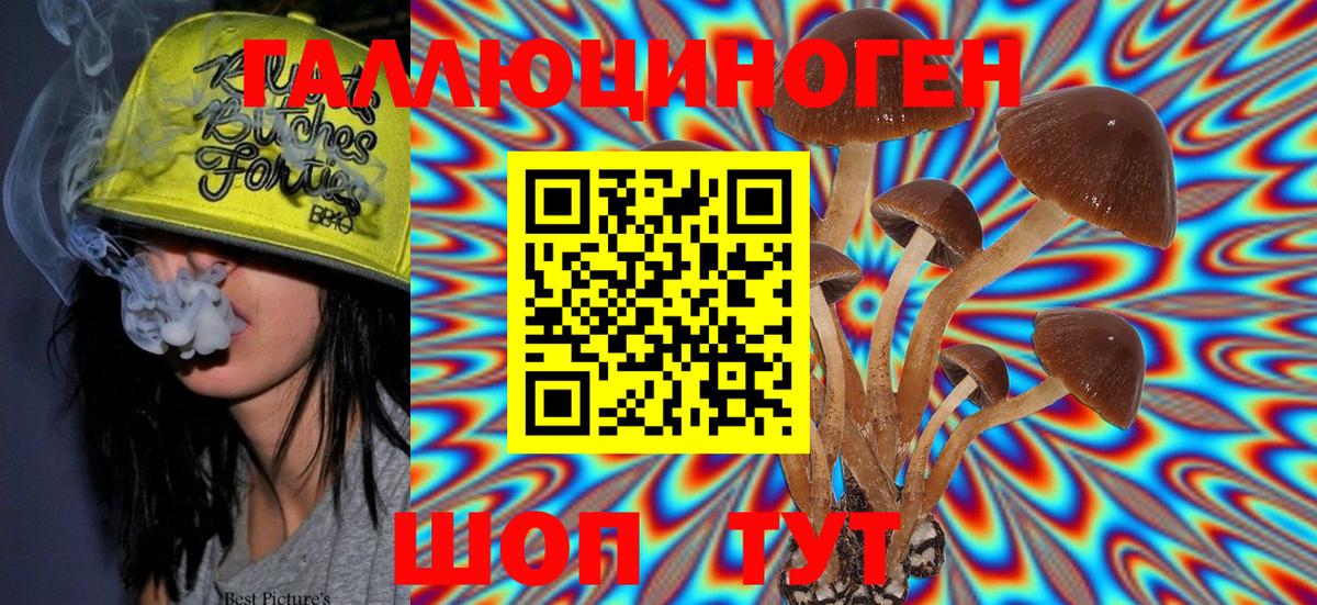 Галлюциногенные грибы MAGIC MUSHROOMS  Галлюциногенные грибы прущие грибы  закладки  Усолье-Сибирское  Вход с VPN 