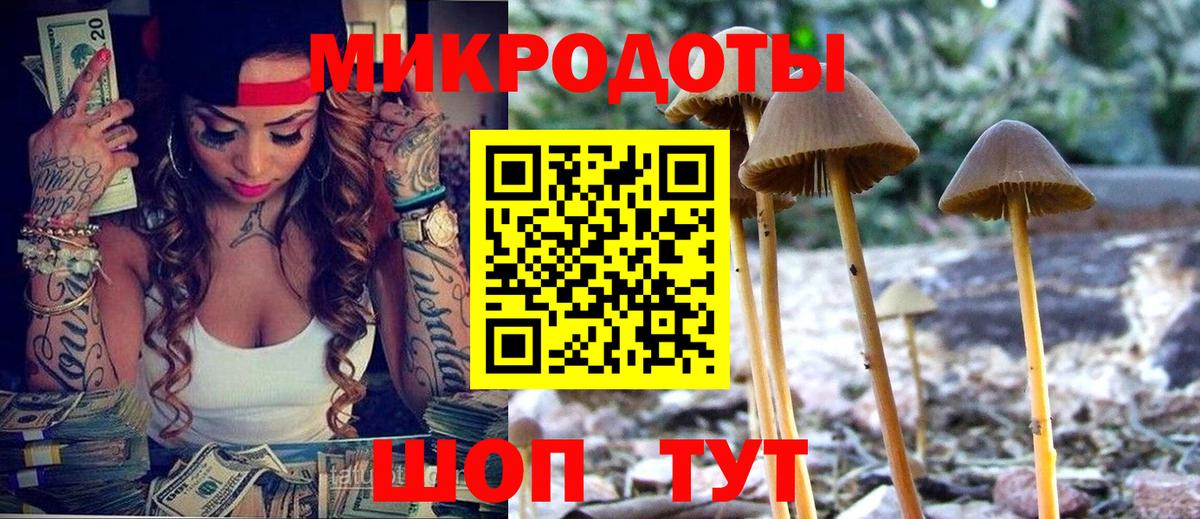 Псилоцибиновые грибы мухоморы Усолье-Сибирское